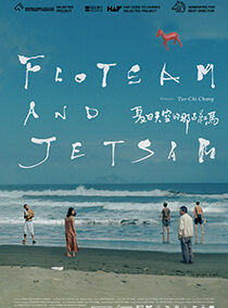 夏日天空的那匹红马 Flotsam and Jetsam